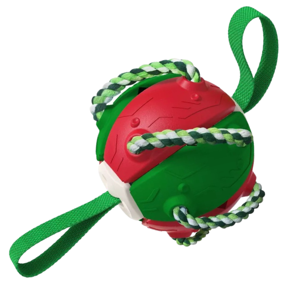 Frisbee Ball Dog Toy -Red Green - Ozerty