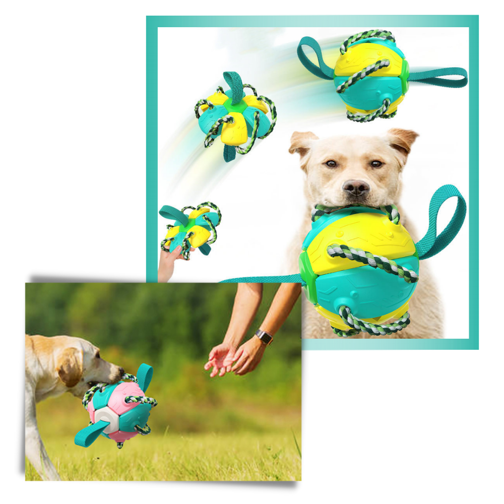 Frisbee Ball Dog Toy - Ozerty