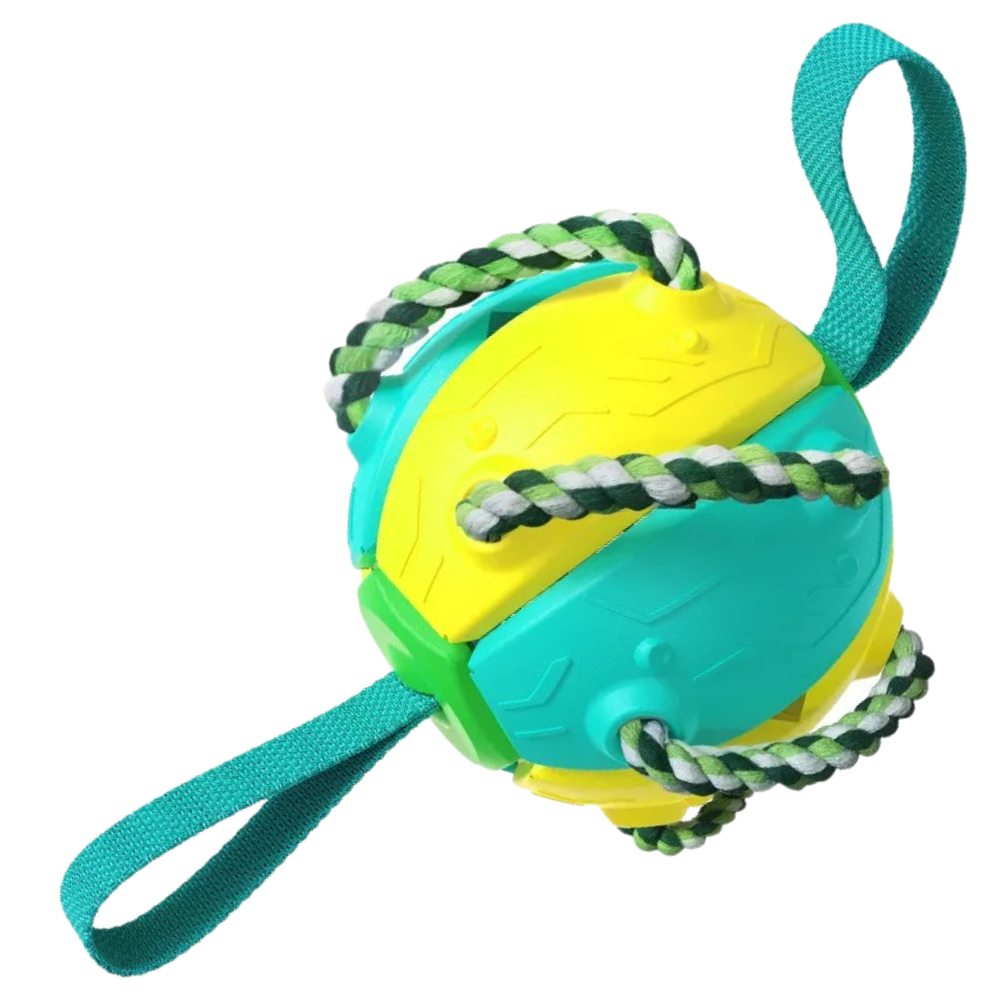 Frisbee Ball Dog Toy -Yellow Blue - Ozerty