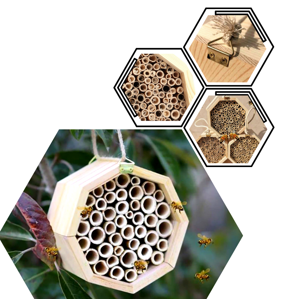 Hexagon Wood Bee House - Ozerty