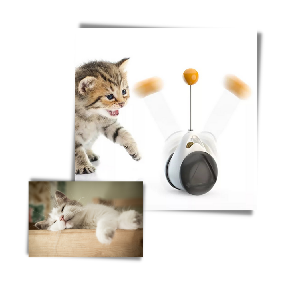 Interactive ball toy for cats - Ozerty