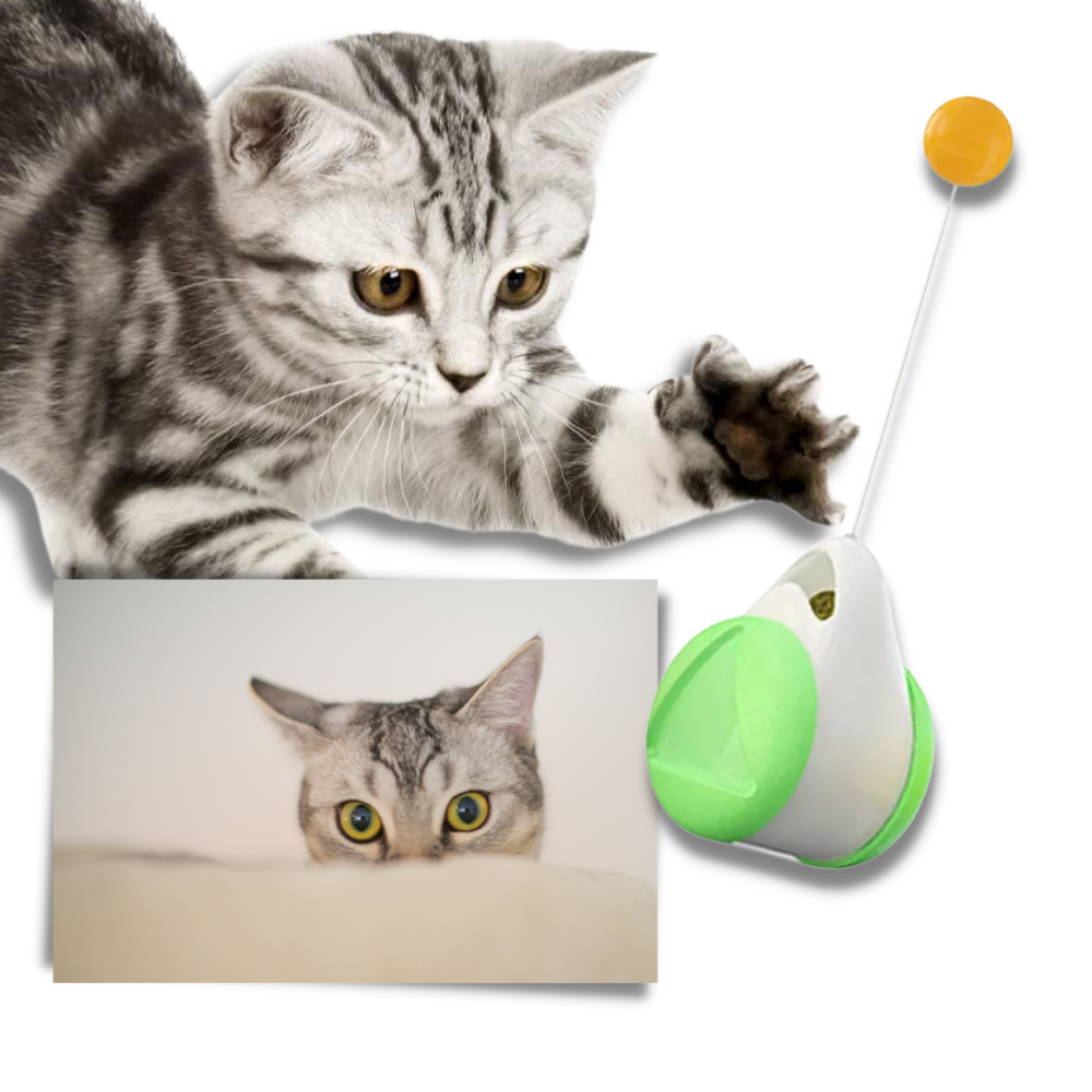 Interactive ball toy for cats - Ozerty