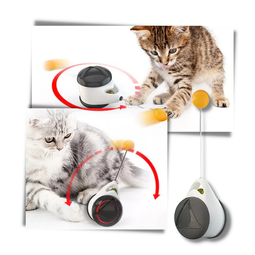 Interactive ball toy for cats - Ozerty