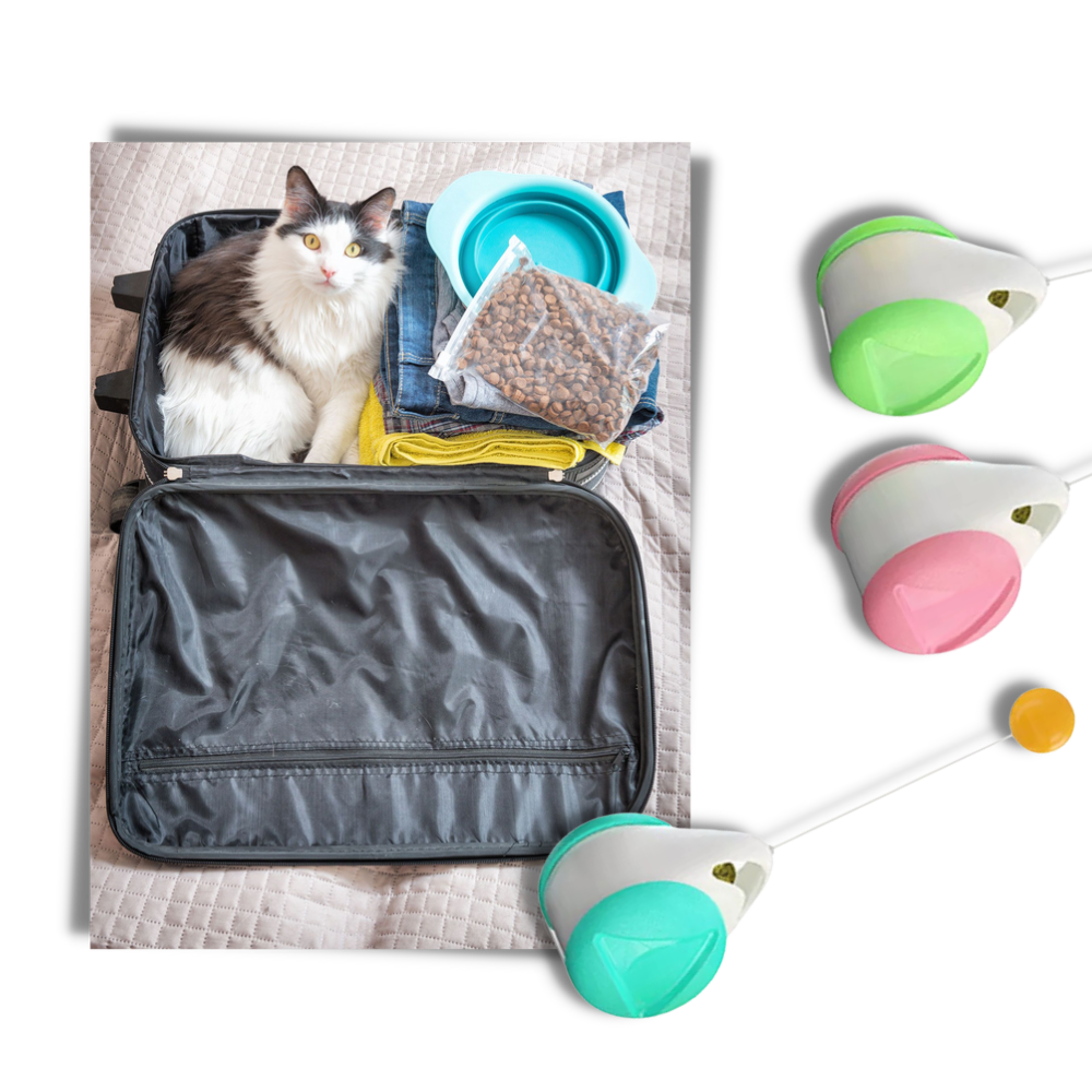 Interactive ball toy for cats - Ozerty