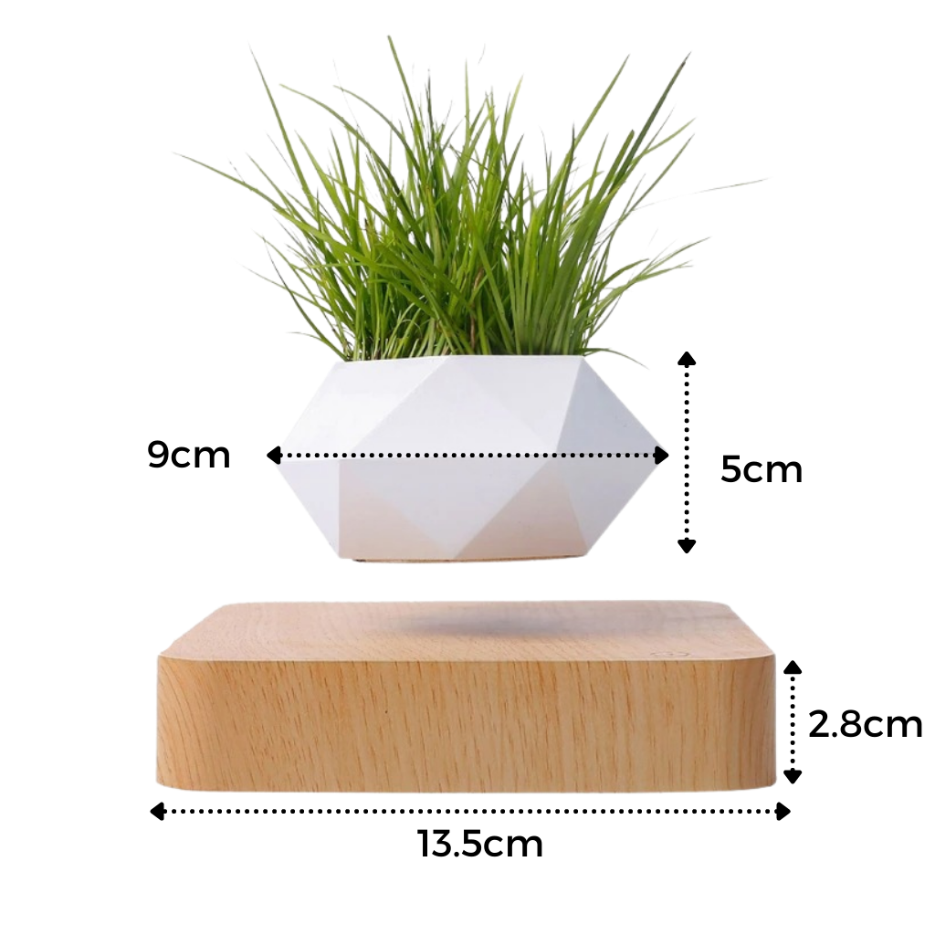 Levitating air pot plant - Ozerty