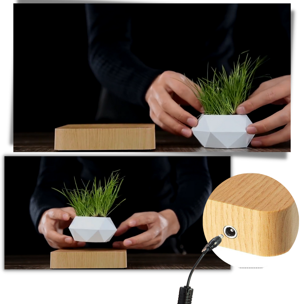 Levitating air pot plant - Ozerty