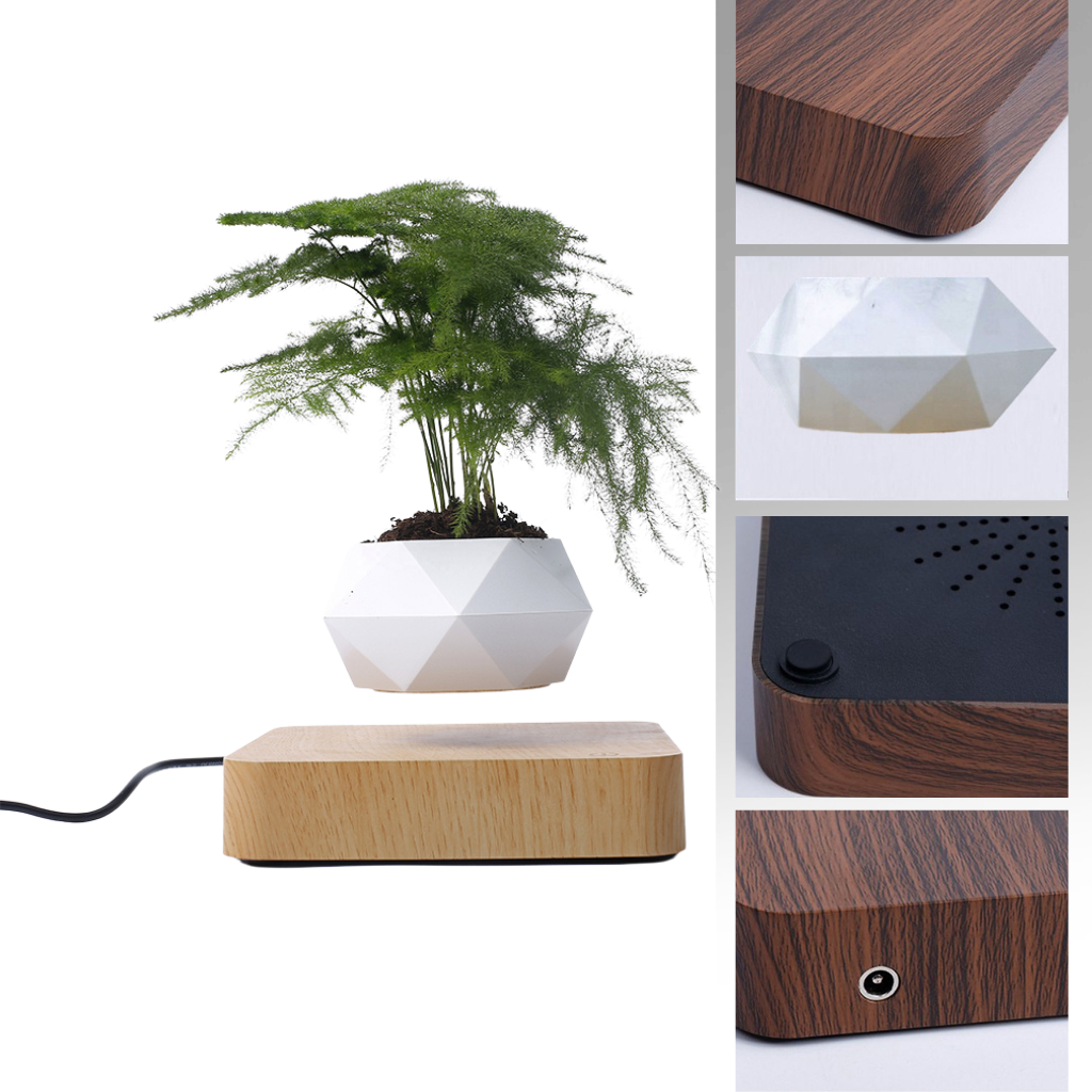 Levitating air pot plant - Ozerty