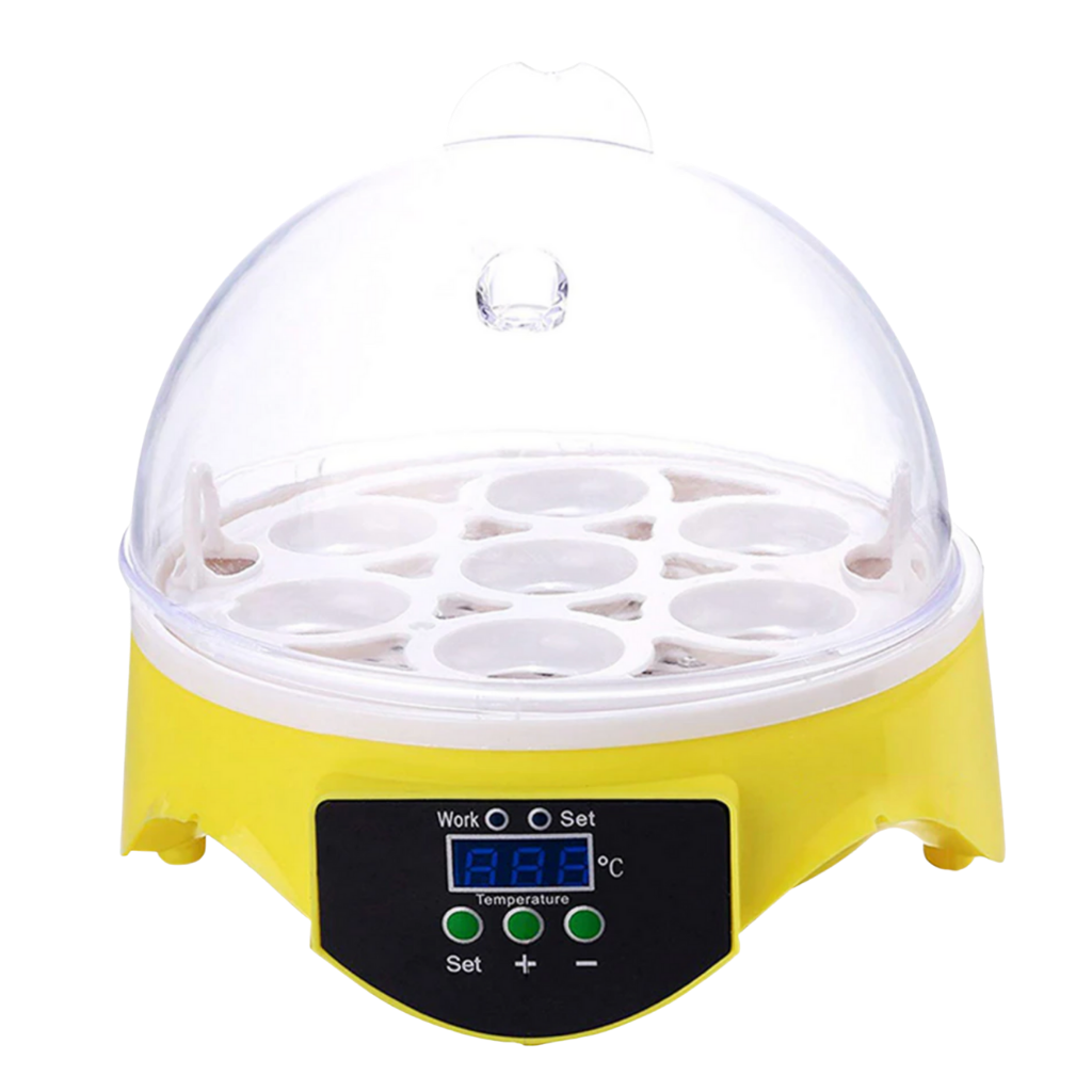 Mini Automatic Egg Incubator - Ozerty