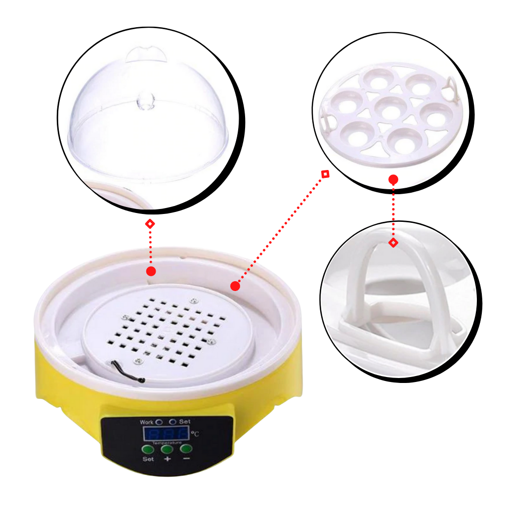 Mini Automatic Egg Incubator - Ozerty