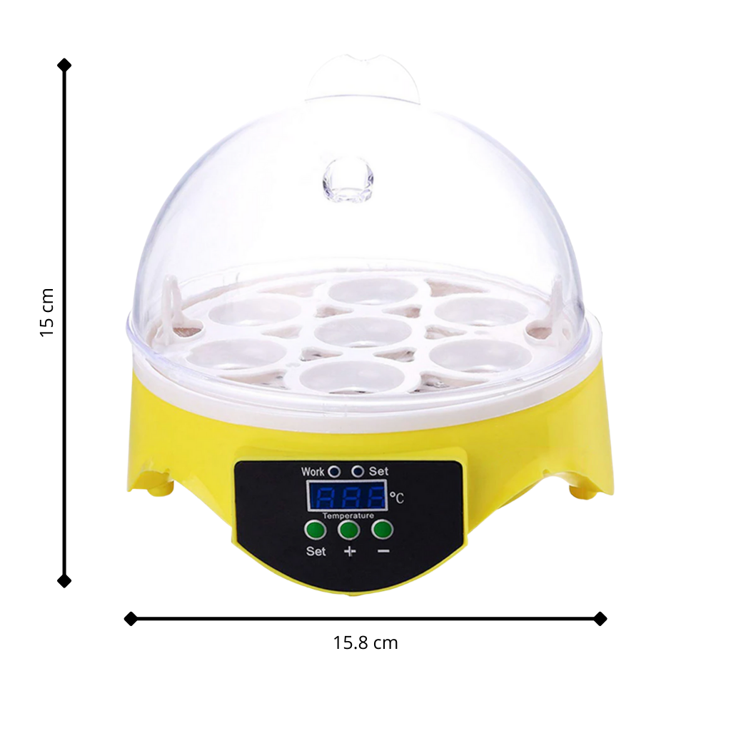 Mini Automatic Egg Incubator - Ozerty