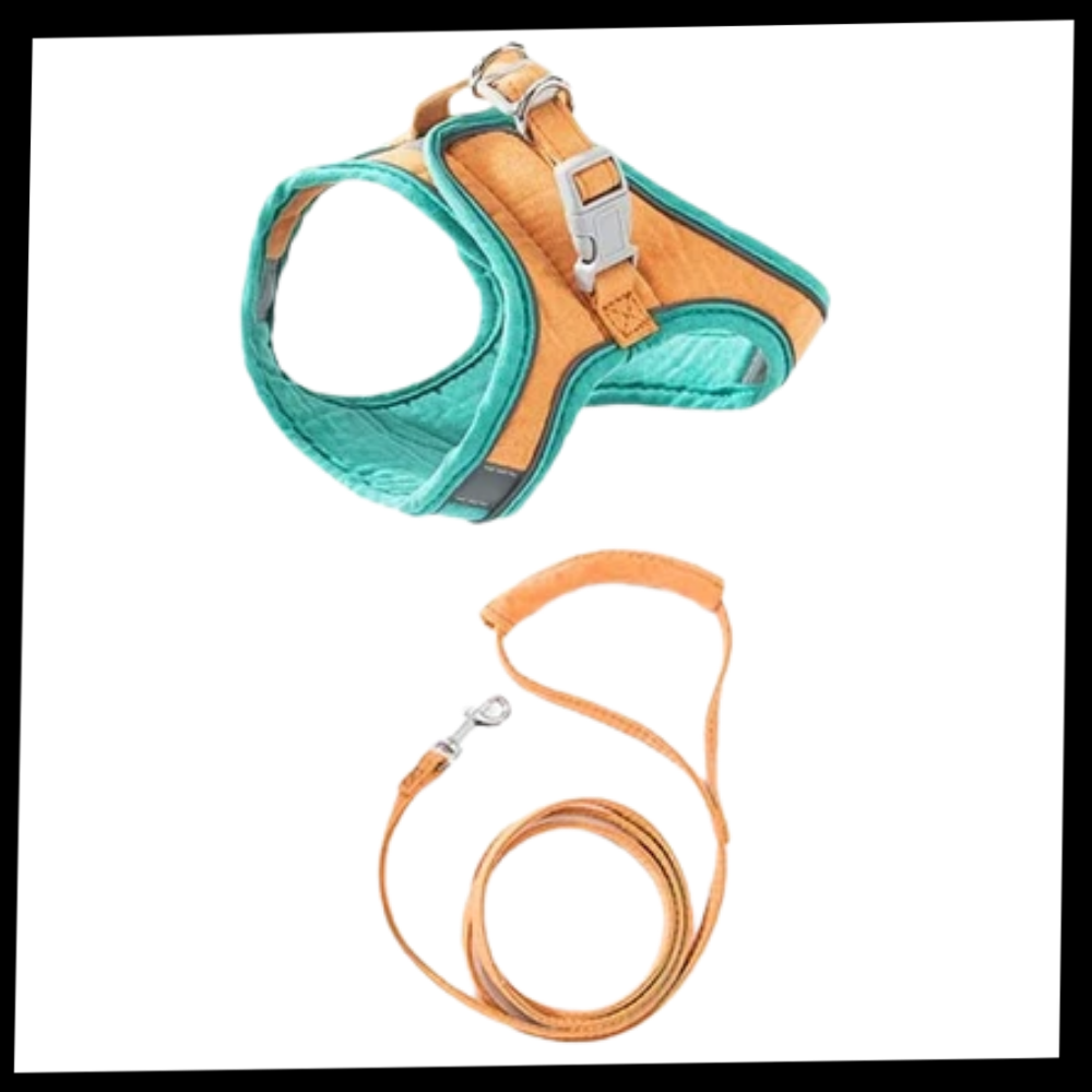 Pet Harness and Leash Set - Ozerty