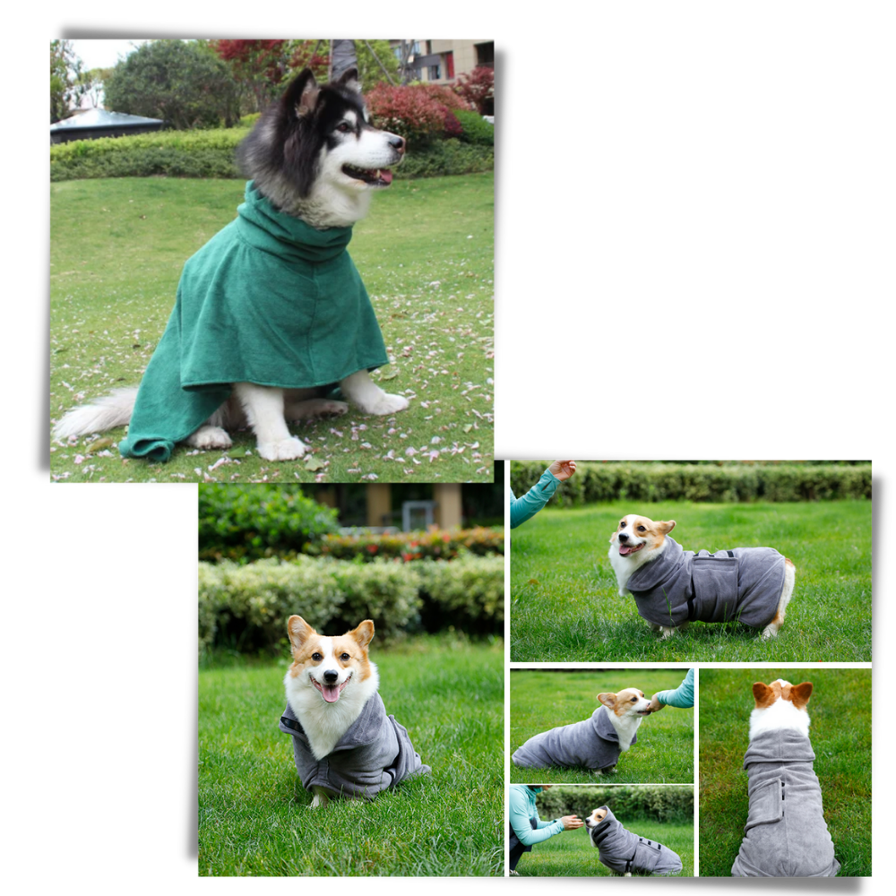 Super Absorbent Pet Bathrobe - Ozerty