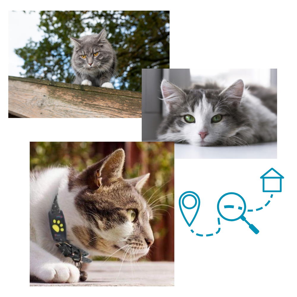 GPS Tracking Collar for Pets - Ozerty