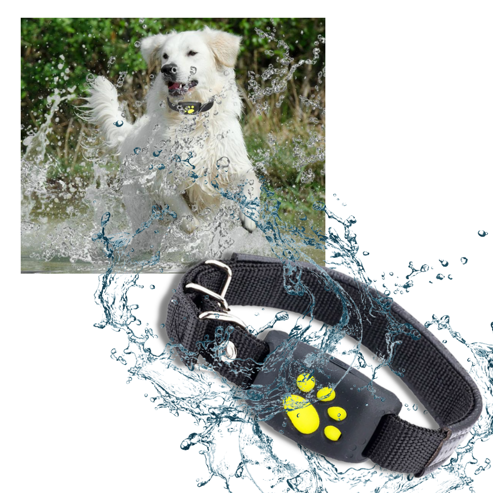 GPS Tracking Collar for Pets - Ozerty