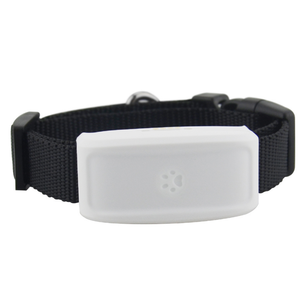 Pet GPS Tracking Collar - Ozerty