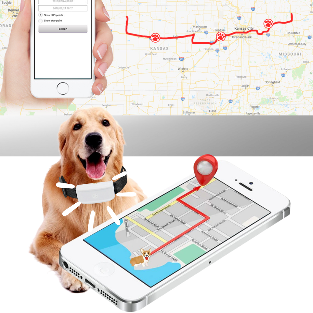 Pet GPS Tracking Collar - Ozerty