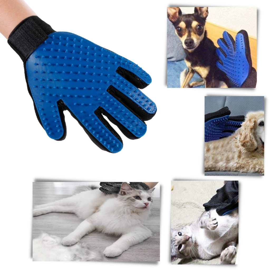 Pet Grooming Gloves (Pair) - Ozerty