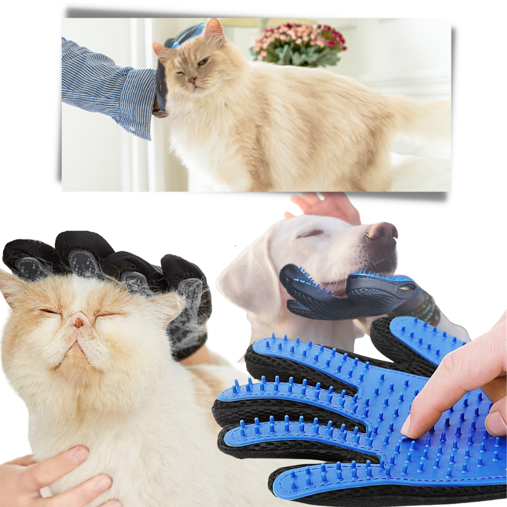 Pet Grooming Gloves (Pair) - Ozerty