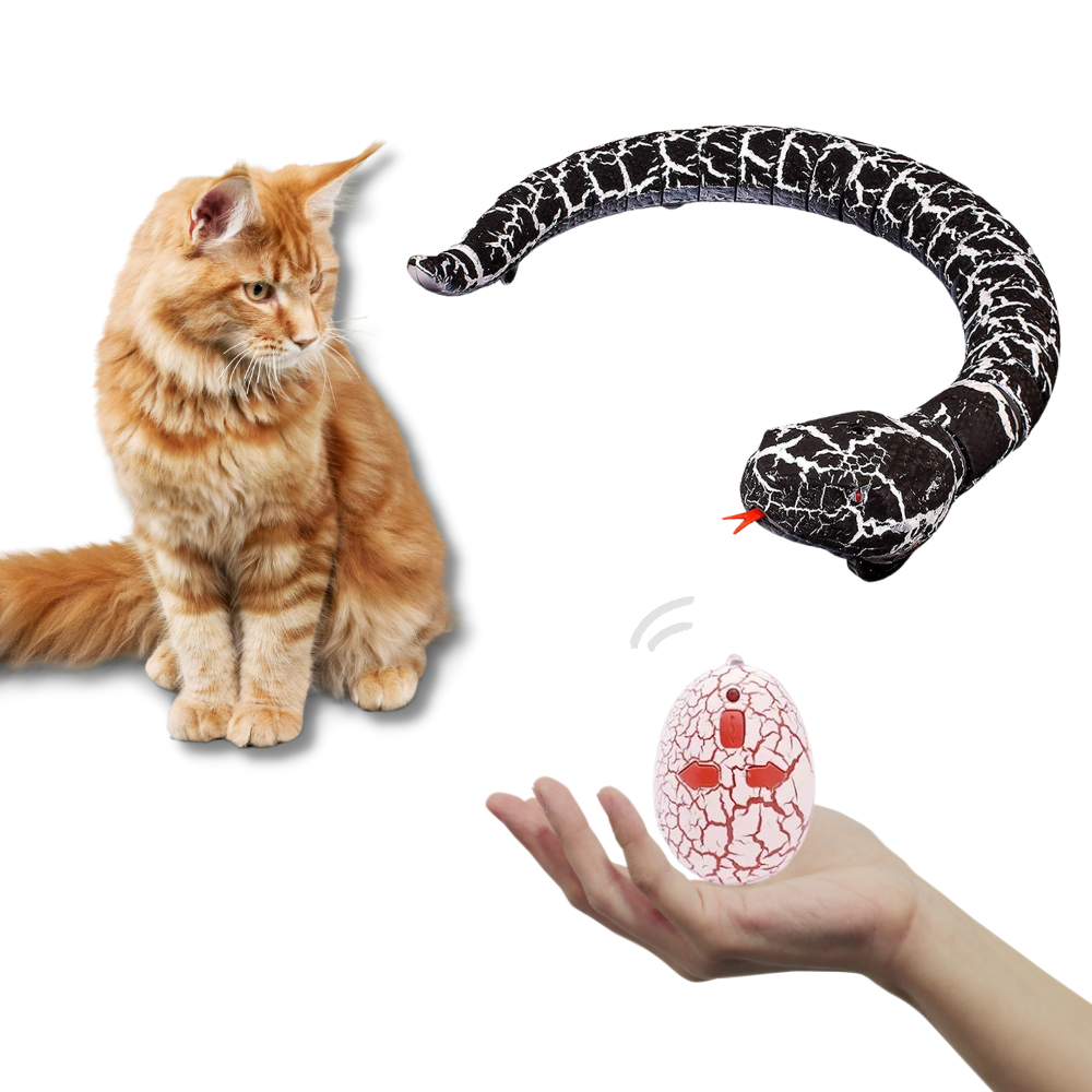 Remote control interactive snake toy for cat - Ozerty