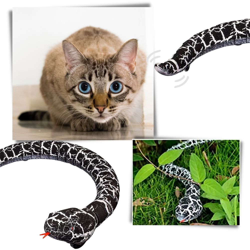 Remote control interactive snake toy for cat - Ozerty