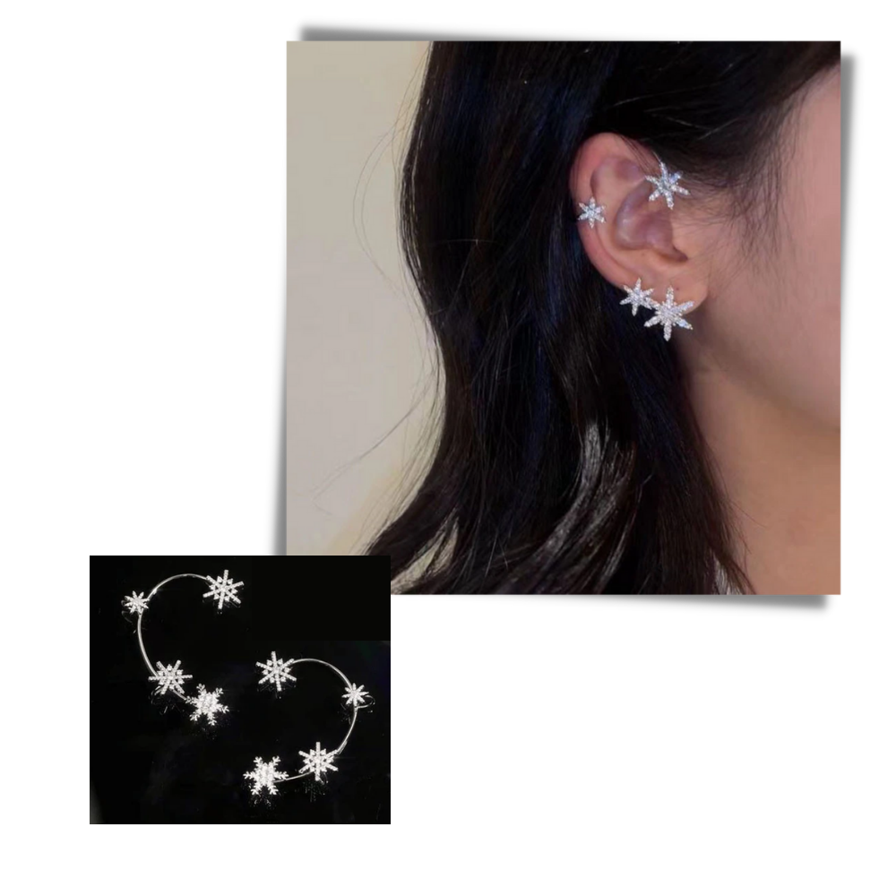 Pair of Zirconia Clip-on Fashion Earrings - Ozerty