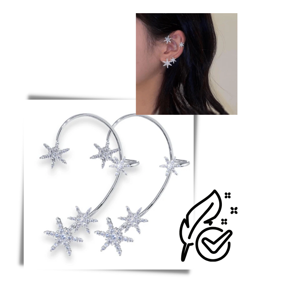 Pair of Zirconia Clip-on Fashion Earrings - Ozerty