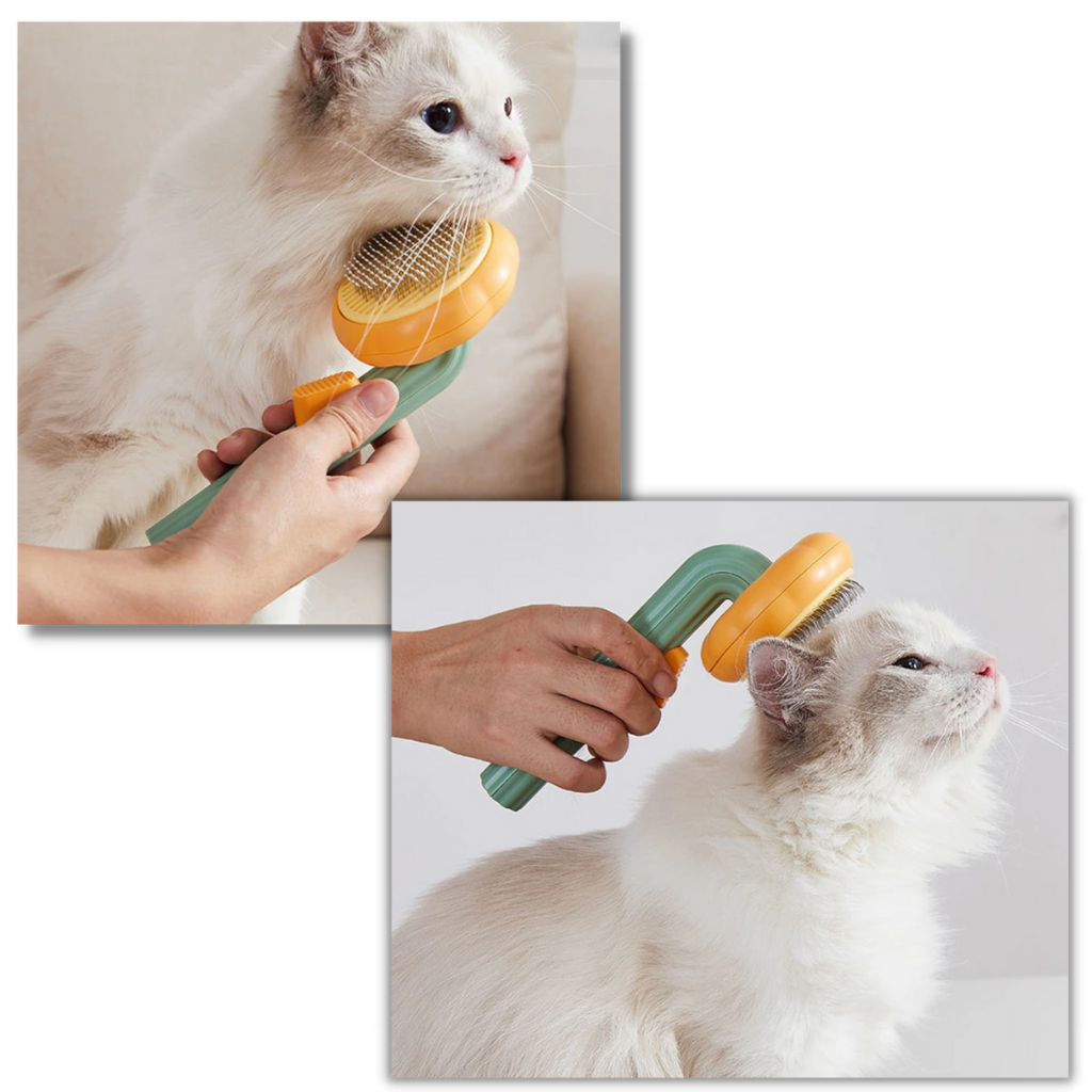 Self-cleaning pumpkin pet brush - Ozerty