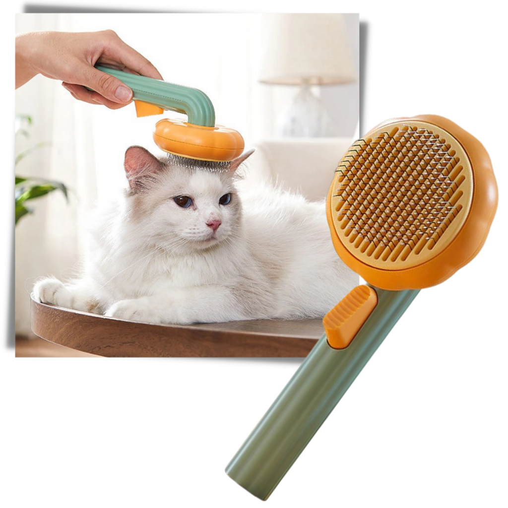 Self-cleaning pumpkin pet brush - Ozerty