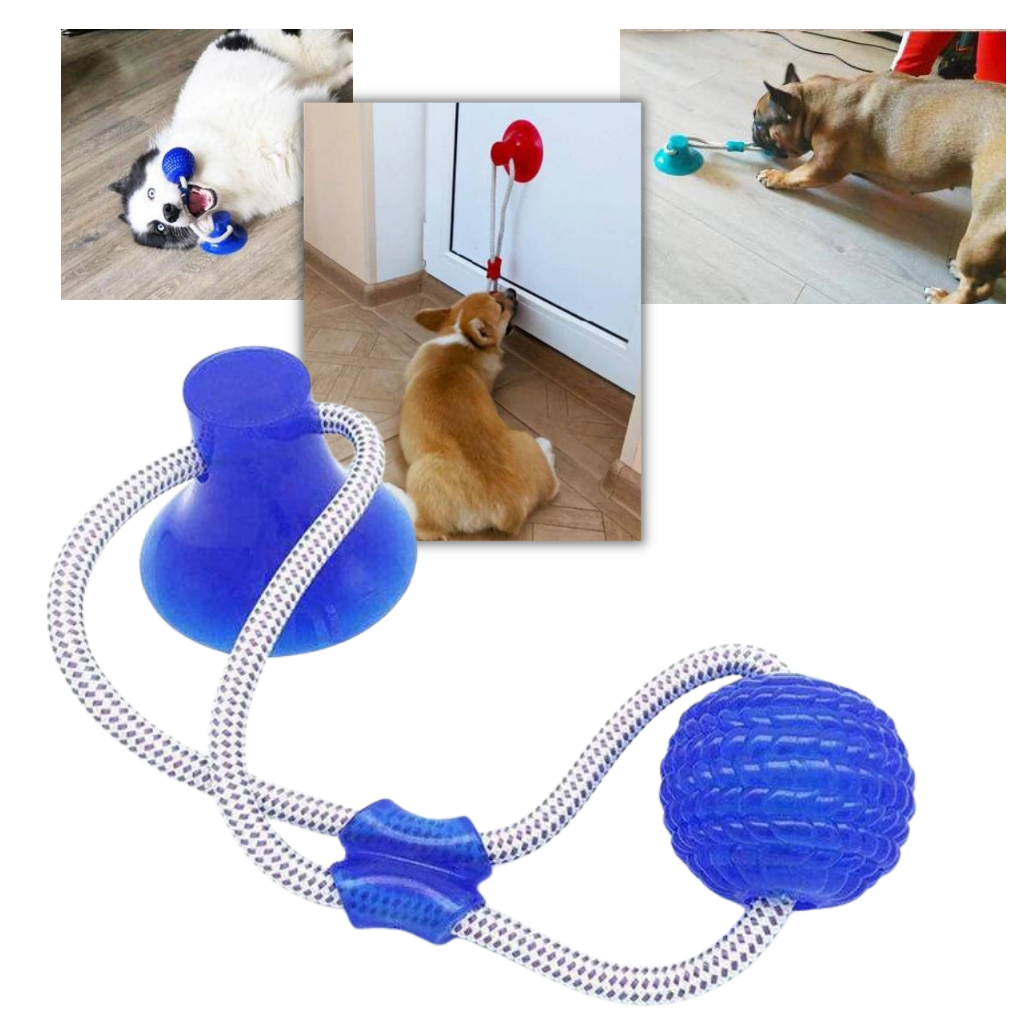 Suction Cup Dog Pull Ball Toy - Ozerty