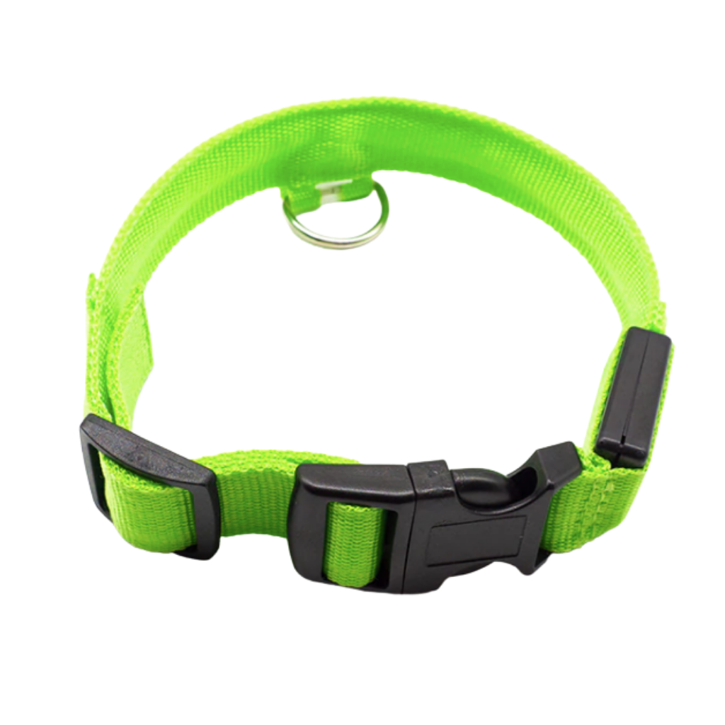 USB Rechargeable LED Light Pet Collar -Green - Ozerty