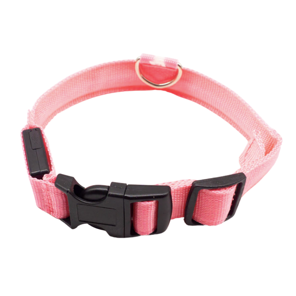 USB Rechargeable LED Light Pet Collar -Pink - Ozerty