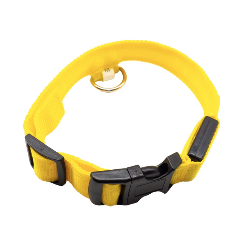 USB Rechargeable LED Light Pet Collar -Yellow - Ozerty