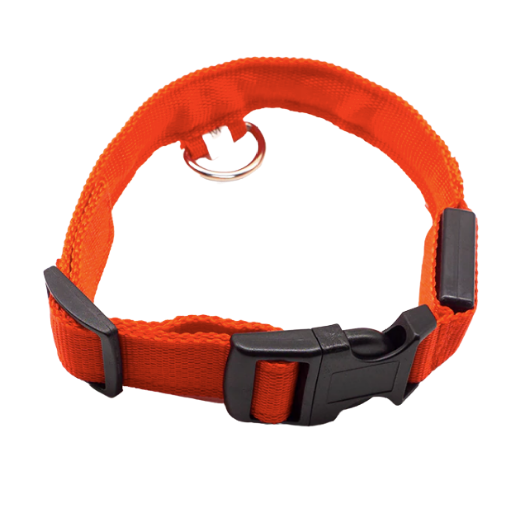 USB Rechargeable LED Light Pet Collar -Red - Ozerty