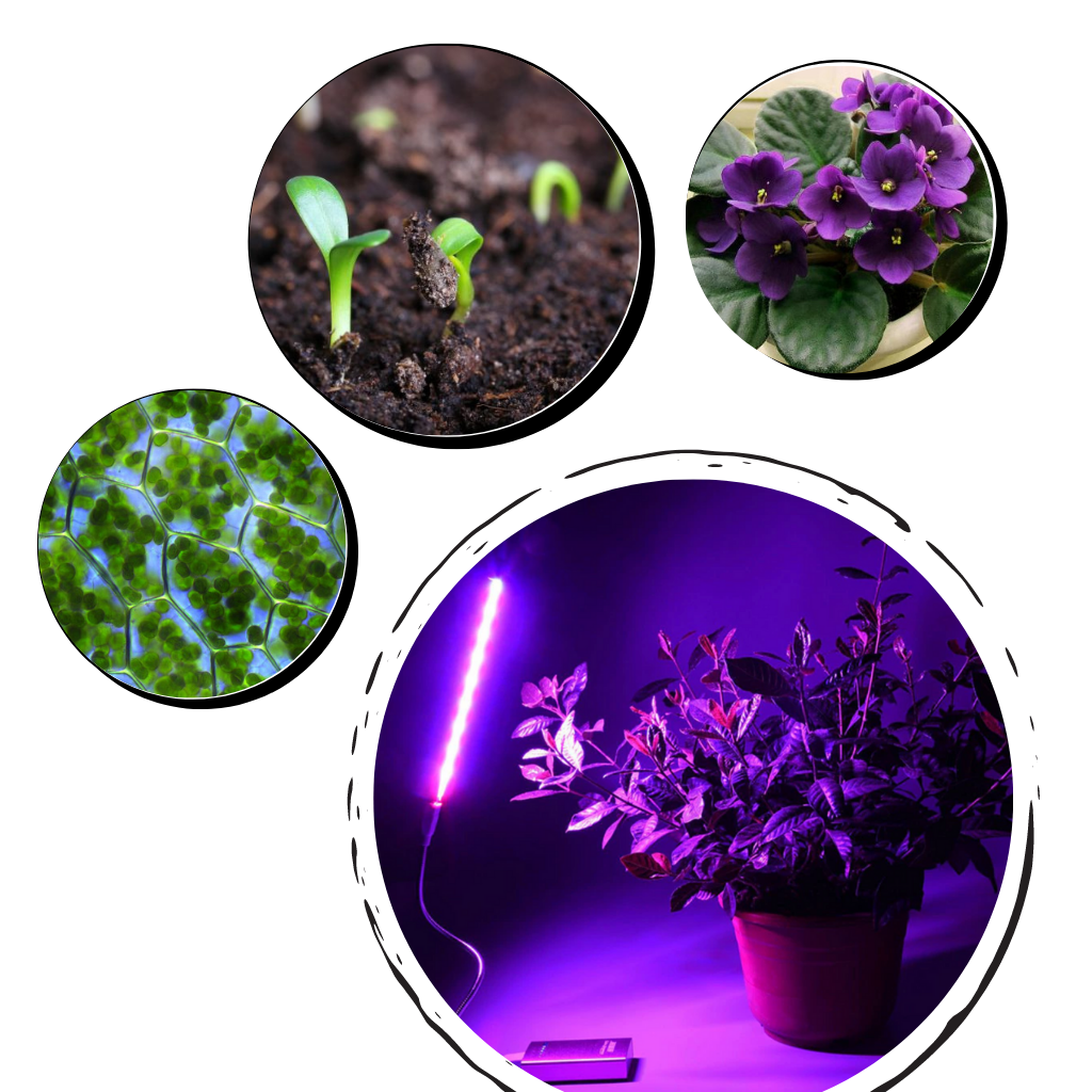 USB LED Plant Grow Light with Flexible Pole - Ozerty