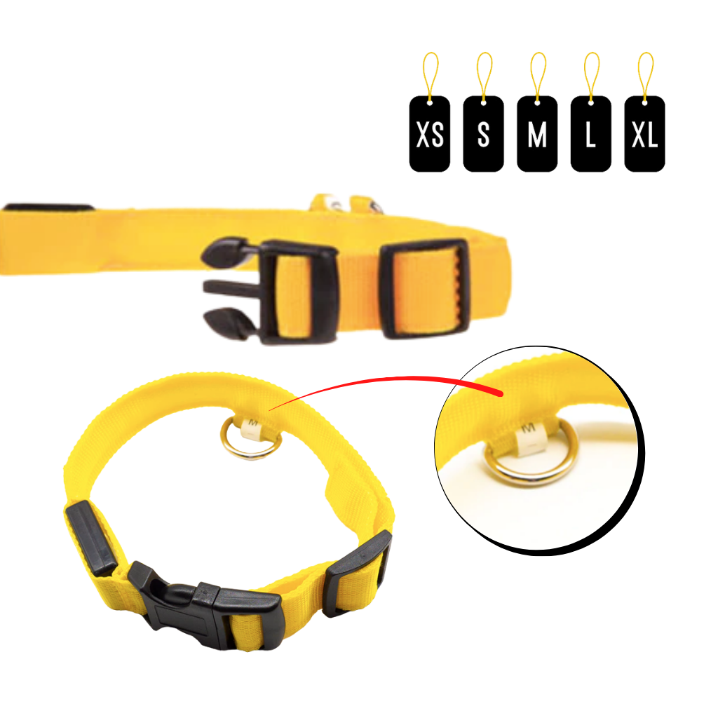 USB Rechargeable LED Light Pet Collar - Ozerty