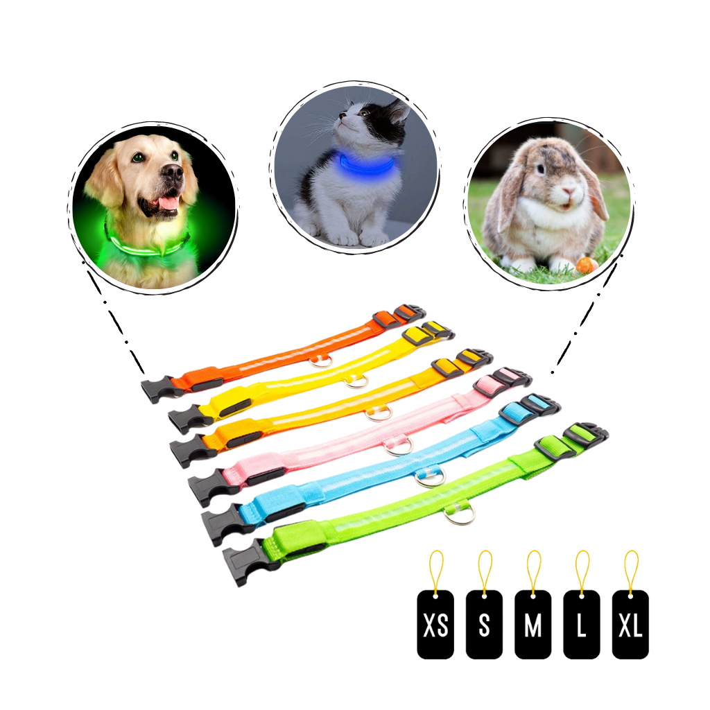 USB Rechargeable LED Light Pet Collar - Ozerty