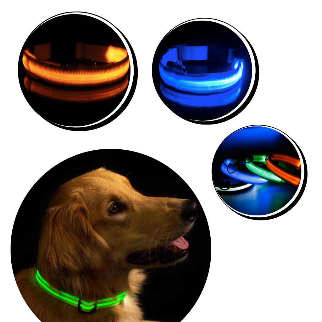 USB Rechargeable LED Light Pet Collar - Ozerty