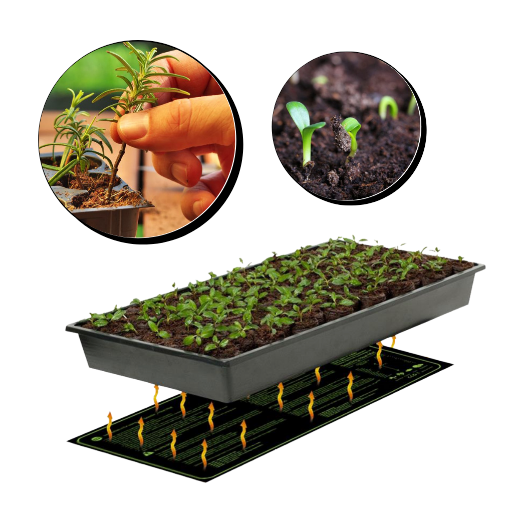 Waterproof Seedling Heat Mat 24x52cm - Ozerty
