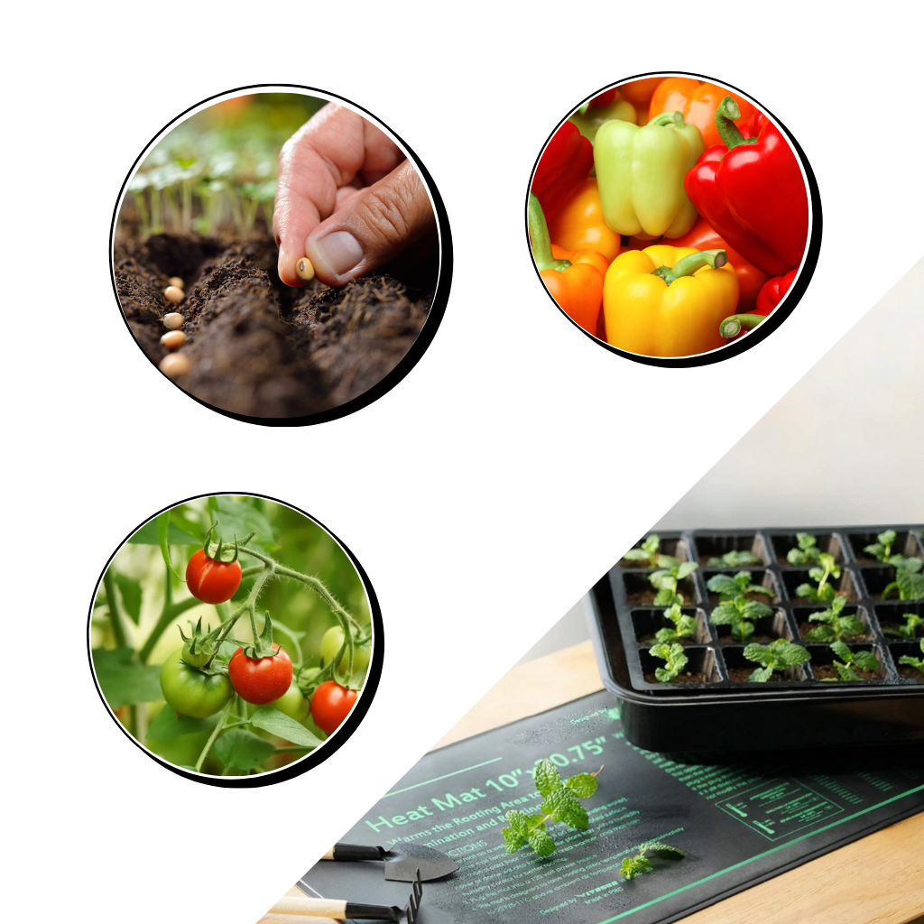 Waterproof Seedling Heat Mat 24x52cm - Ozerty
