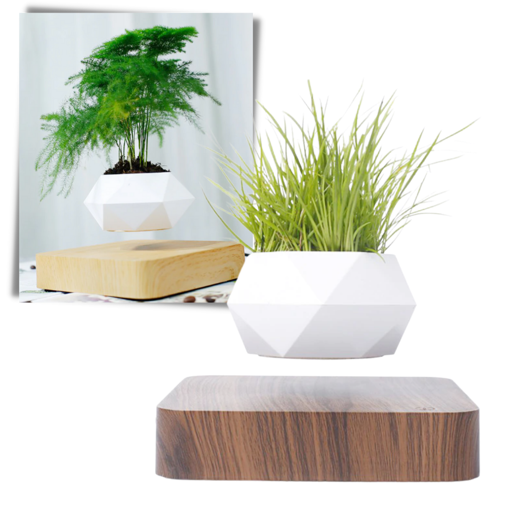 Levitating air pot plant - Ozerty