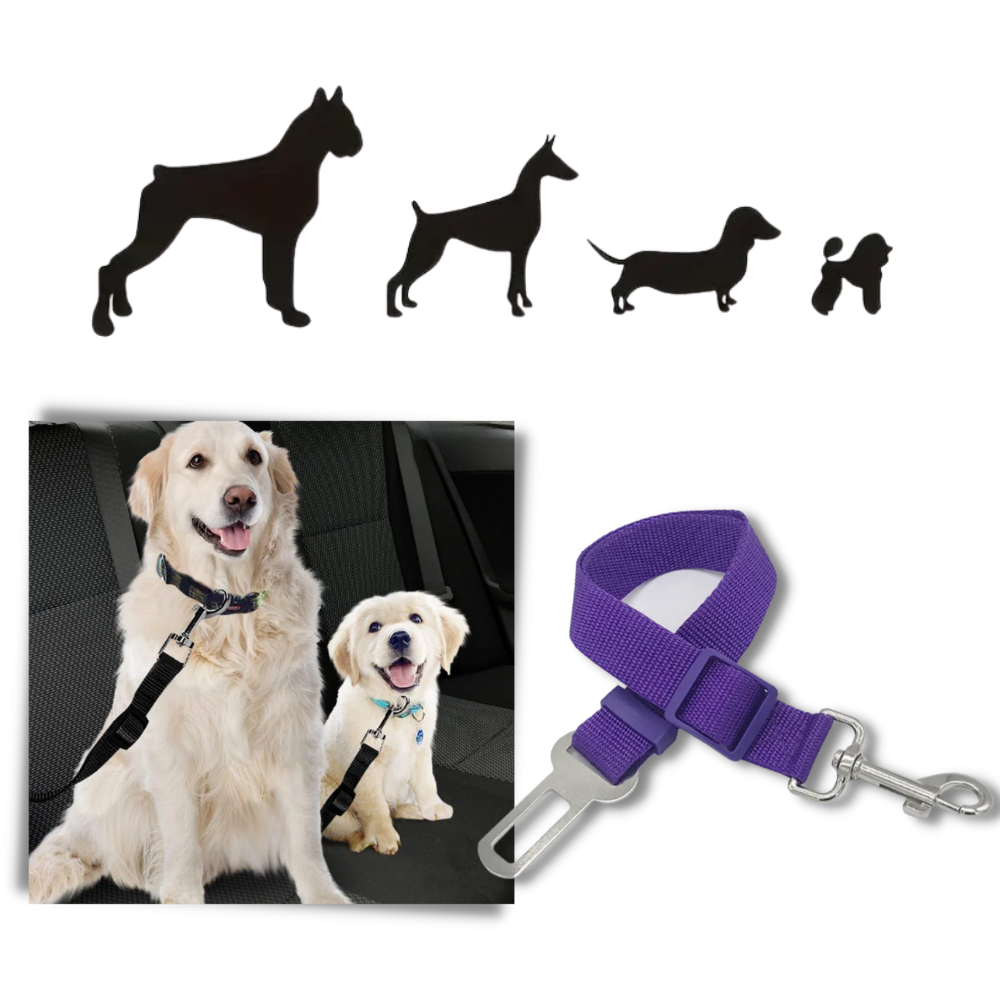 Premium Pet Dog Car Seat Belt - Ozerty