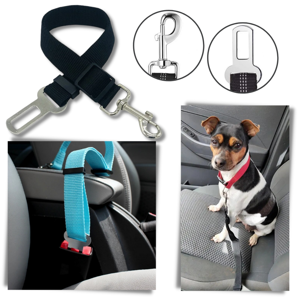 Premium Pet Dog Car Seat Belt - Ozerty