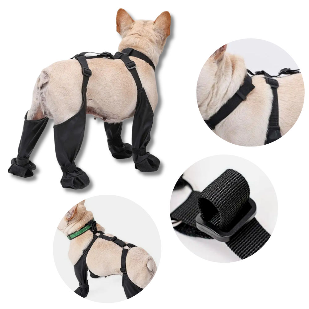 Waterproof Dog  Suspenders Boots - Ozerty