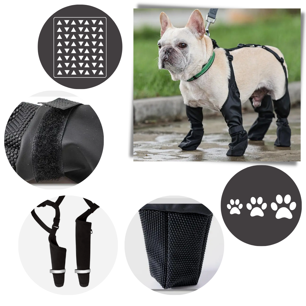 Waterproof Dog  Suspenders Boots - Ozerty