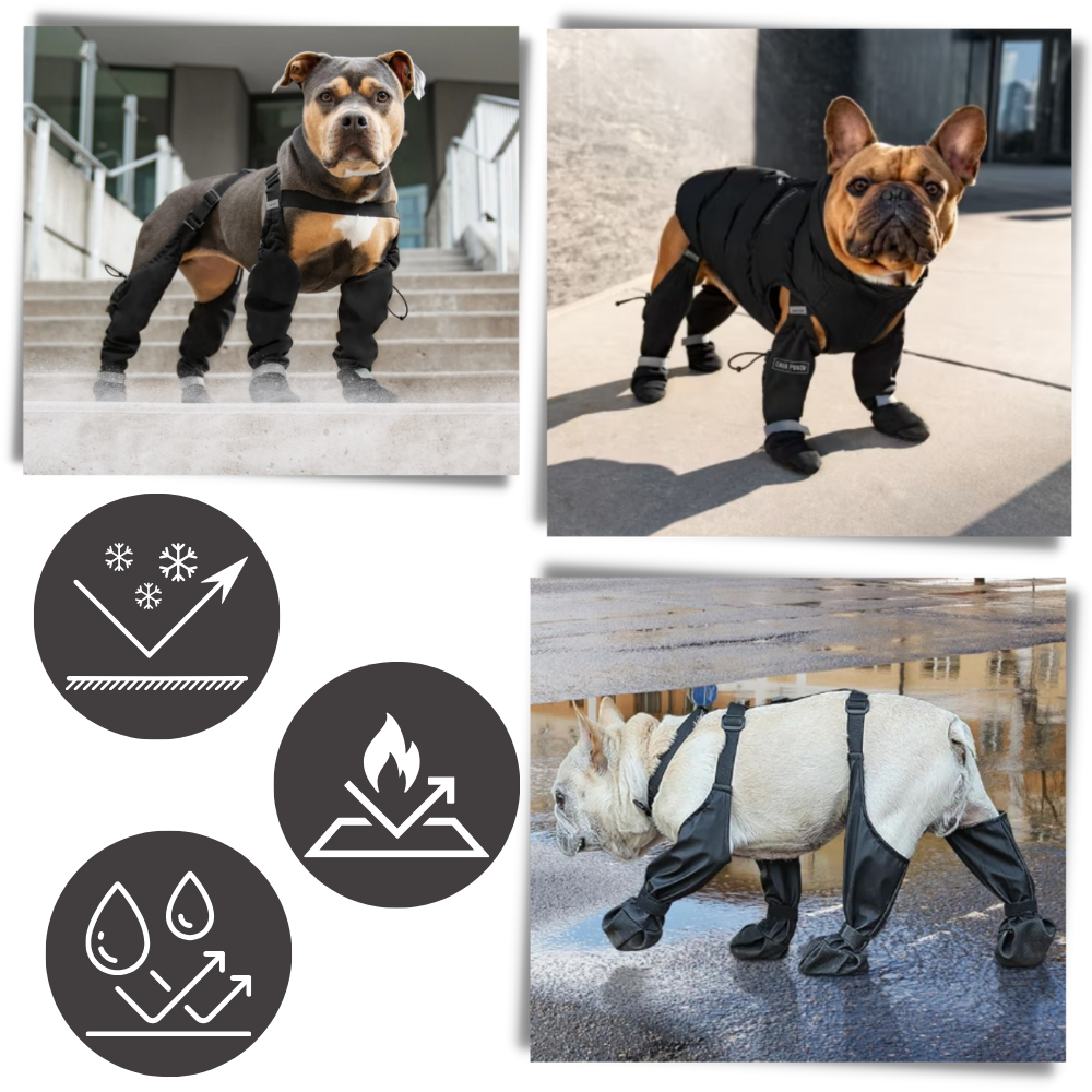 Waterproof Dog  Suspenders Boots - Ozerty